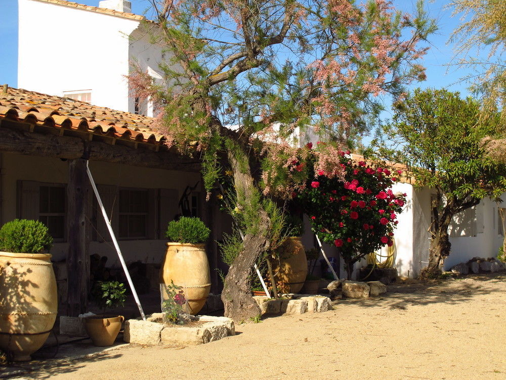 Cacharel Hotel Saintes-Maries-de-la-Mer Exterior photo